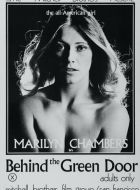 За зеленой дверью (1972)