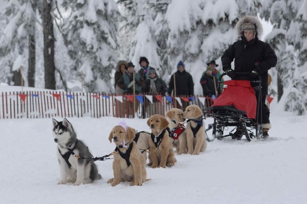 детские новогодние фильмы список