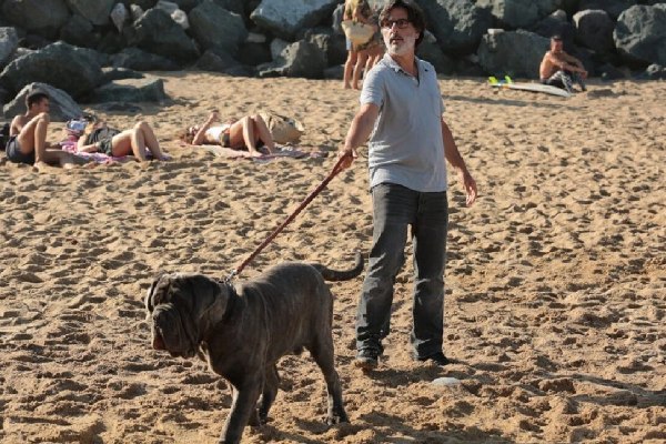 собаки кино комедия