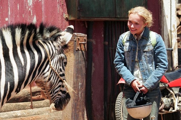 фильм про зебру на скачках