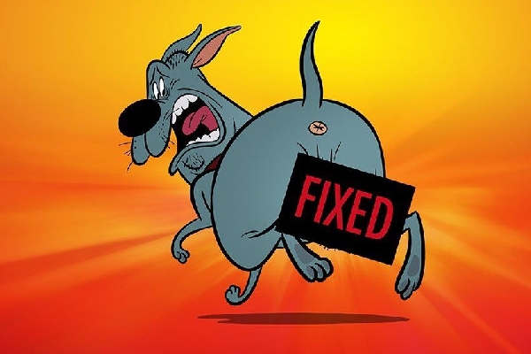 новые мультфильмы 2024