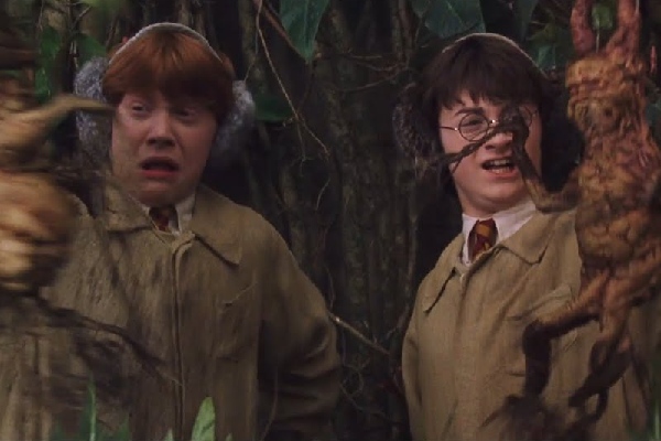 когда выйдет сериал гарри поттер