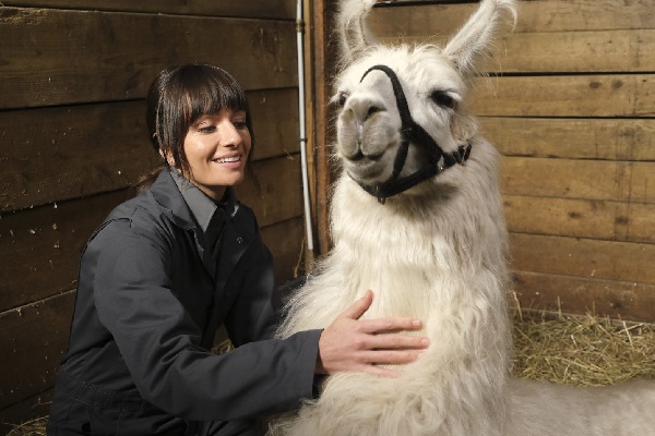 Сериалы весны 2024 года