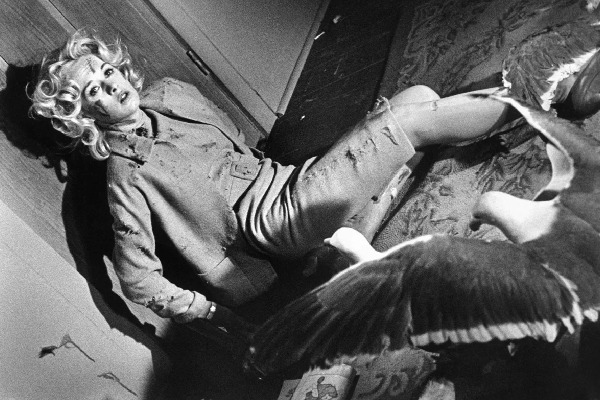 фильм птицы хичкока