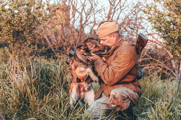 российские сериалы про вов