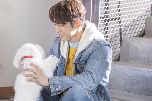 дорамы по типу влюбиться в твою улыбку