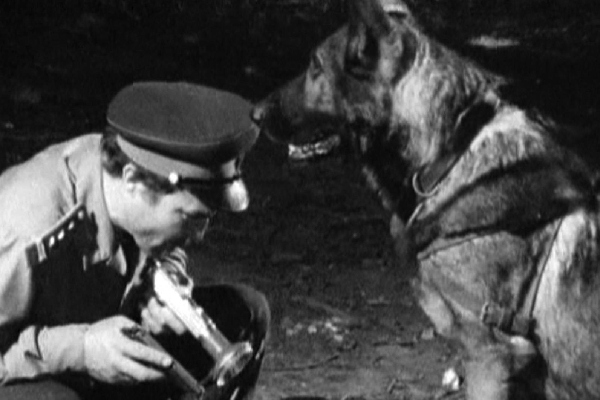 сериалы про собак онлайн