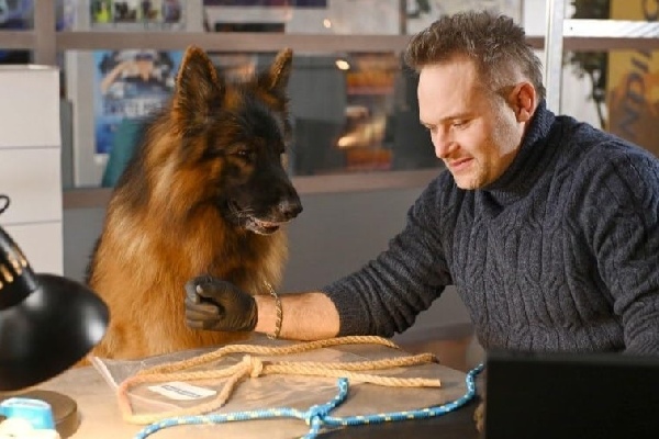 как называется сериал про собаку