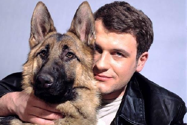 сериал про пса