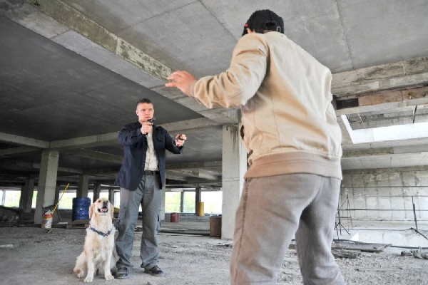 сериал про собаку русский 2023