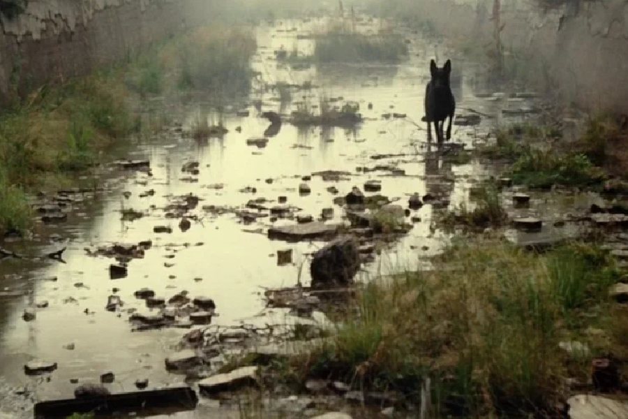 100 лет мосфильму фильмы