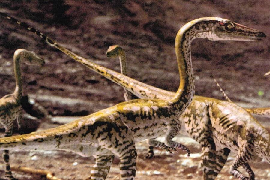 документальный фильм про динозавров