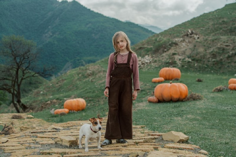 волшебник изумрудного города съемки фильма