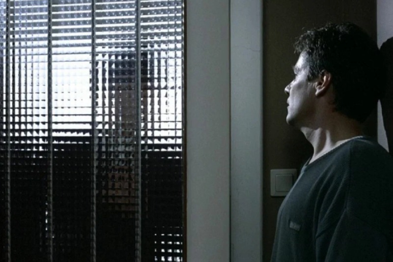 австрийские режиссеры