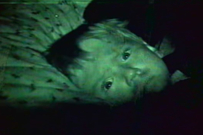 советские фильмы про пионеров