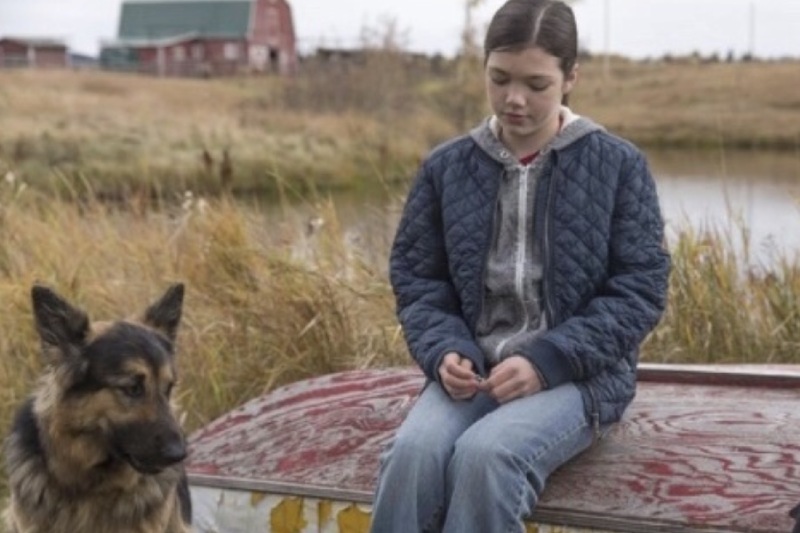 поллианна и энн из зеленых крыш похожие