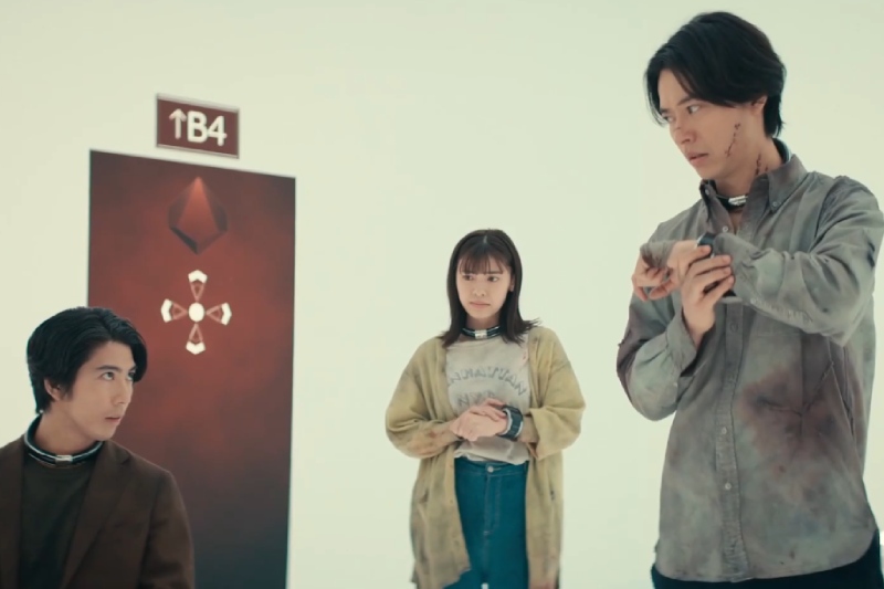 алиса в пограничье объяснение