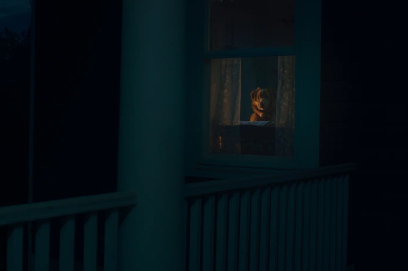 о чем был фильм глазами пса