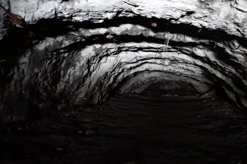 смерть сергея бодрова