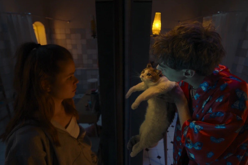 смысл концовки фильма сводишь с ума